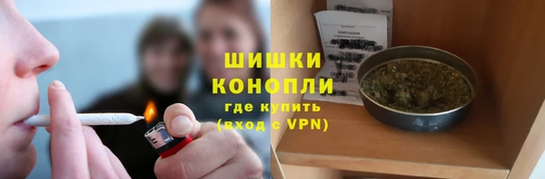 шишки Богданович