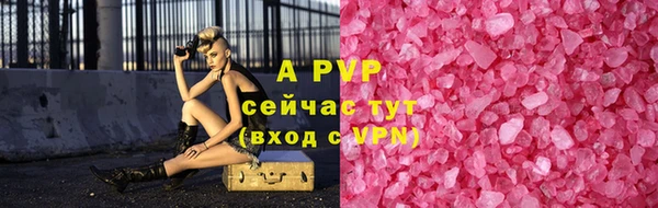 шишки Богданович