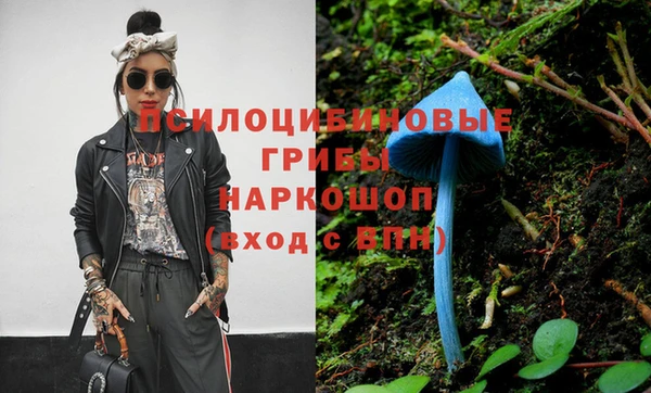 марки lsd Богородицк